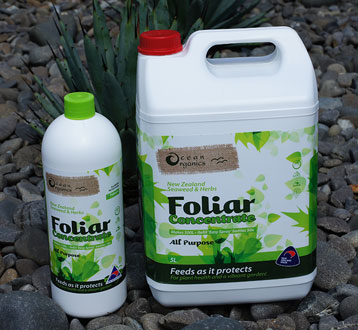 Seaweed Foliar Concentrate
